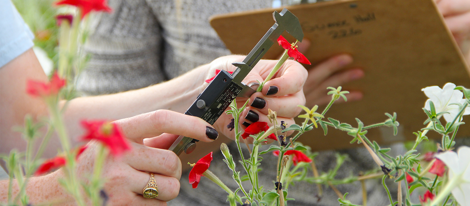 field research in the greenhouse