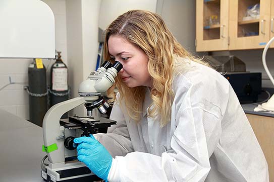 Makayla Schmitt ’17 examines tissue samples under a microscope