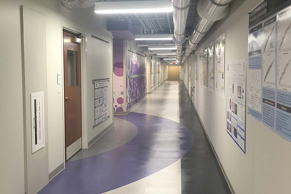 Renovated hallway on the Physics floor showing research posters on the walls