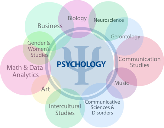 research areas in psychology