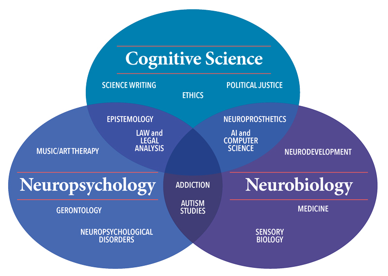 name a major goal of neuroscience research