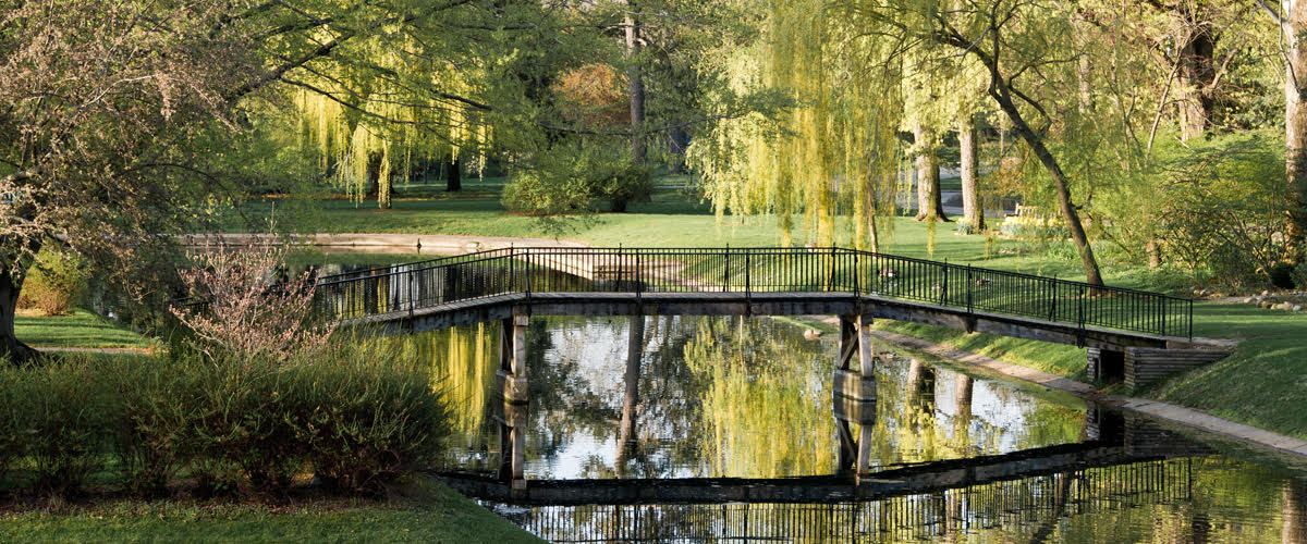 The pond on campus