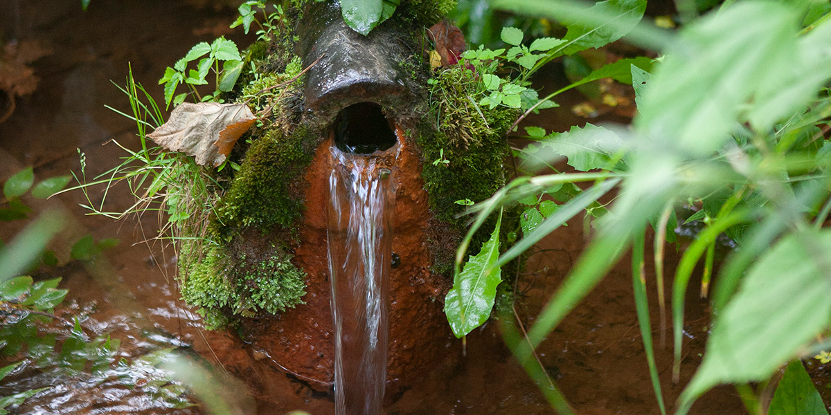 The Specialness of Springs