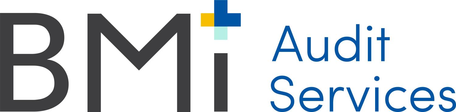 BMI Audit Services Logo