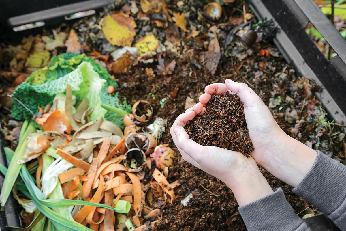 compost