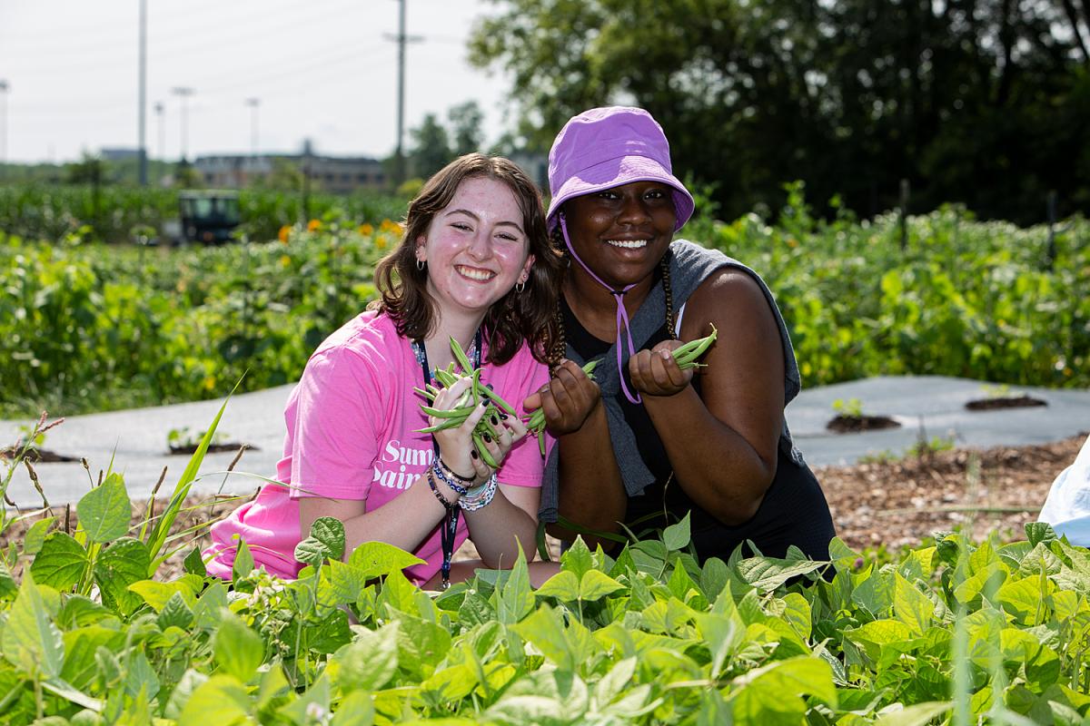 Sustainable living camp