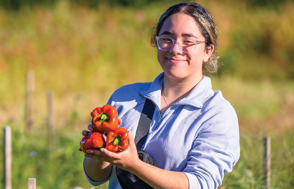 Farm’s Harvest Cultivates Greater Fruits 