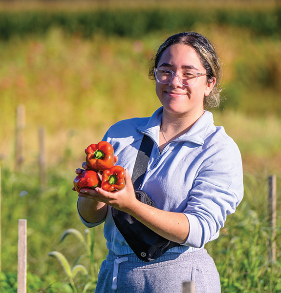 Sustainable Farm