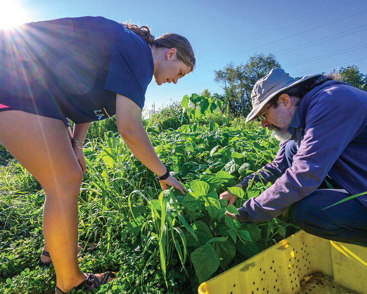 Sustainable Farm