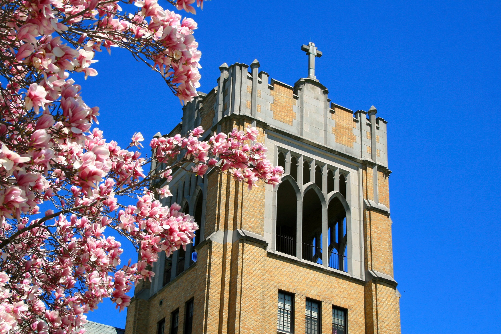 The Bell Tower