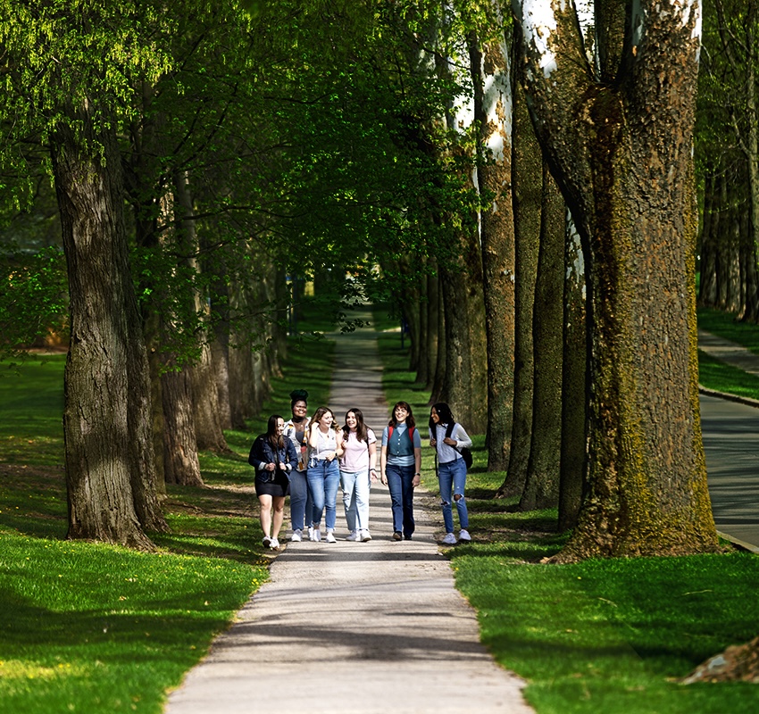 The Avenue Experience 