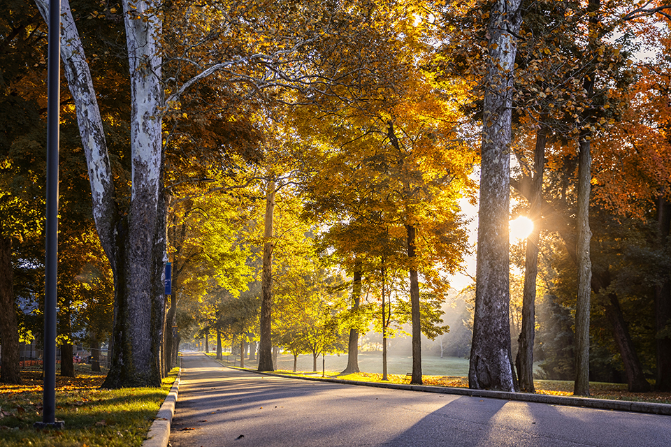 Saint Marys Fall_2025_IMG_9431 copy.jpg