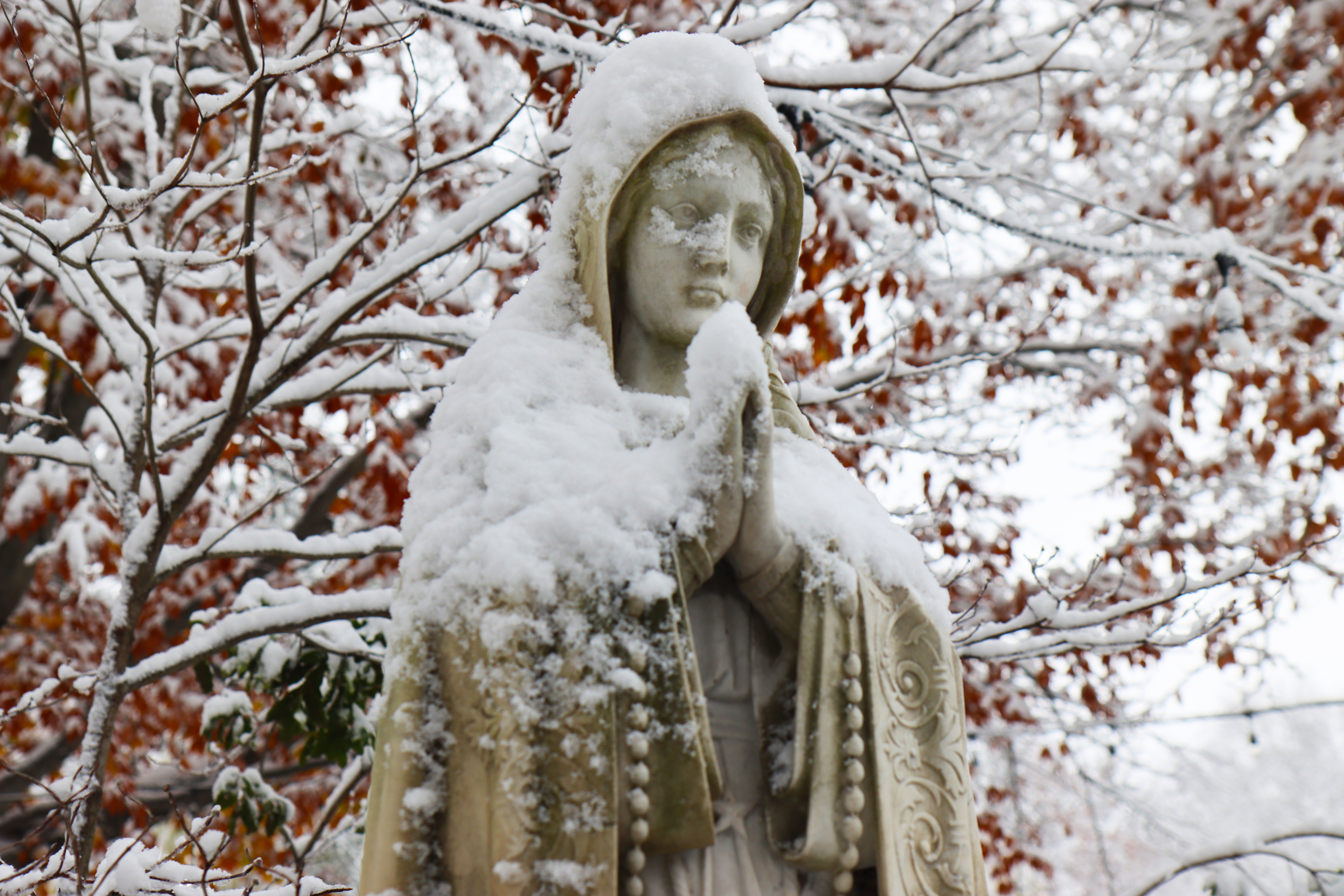 Second Sunday of Advent, December 7, 2025