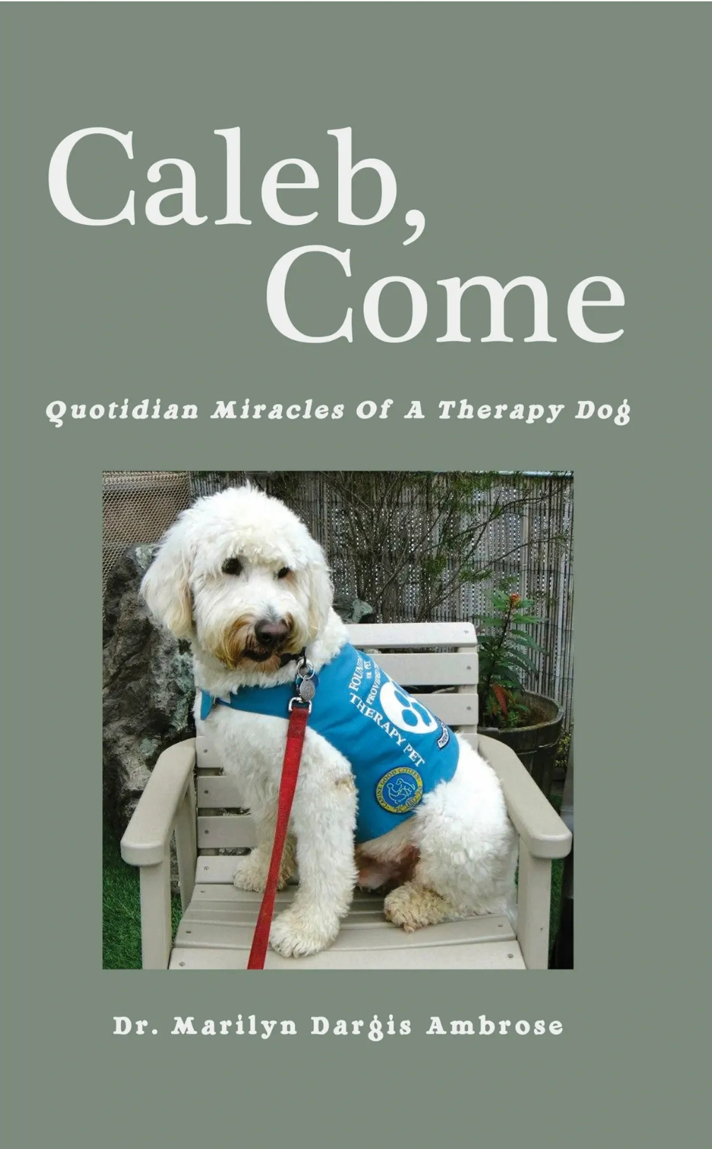 Caleb, Come cover.jpg