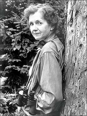 Rachel Carson.png