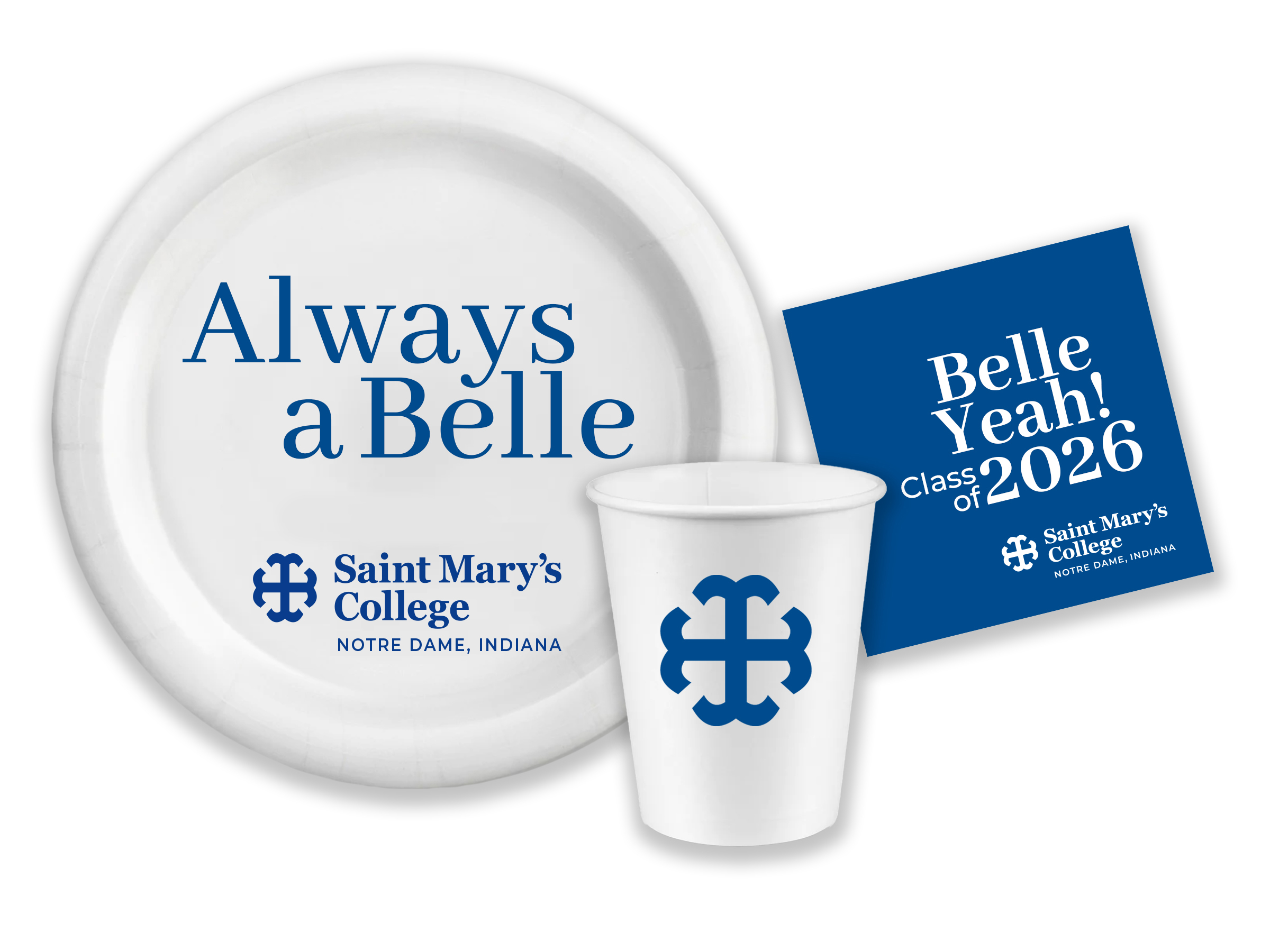 Samples of cake, plate, napkin, & Button use