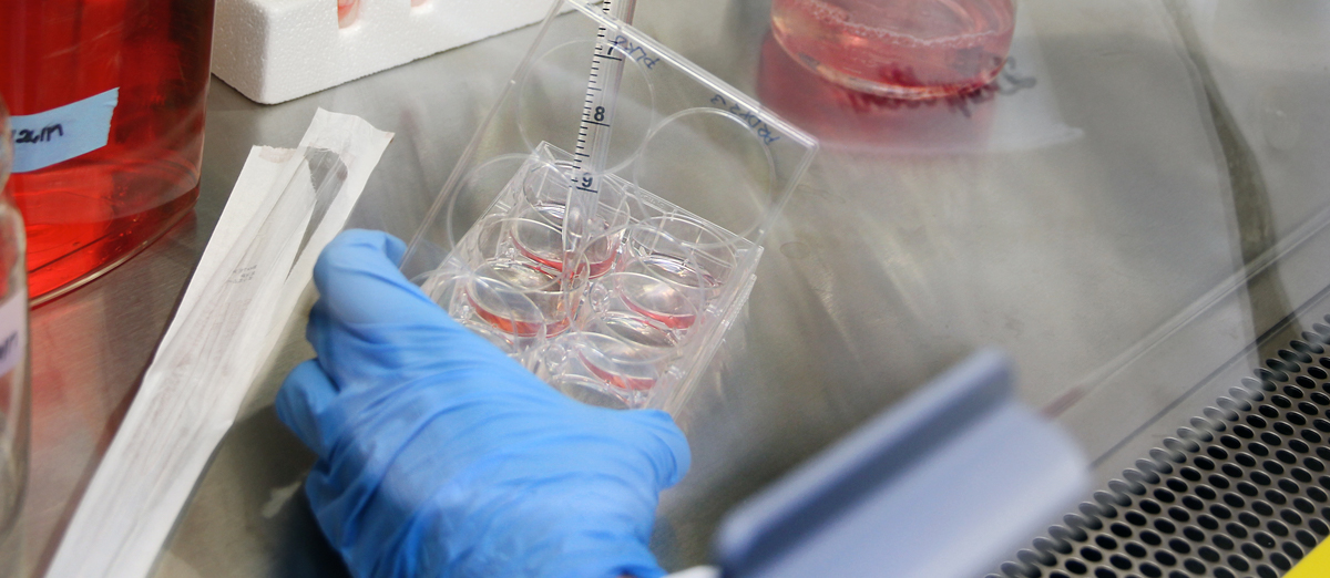 Isolating pathogenic bacteria