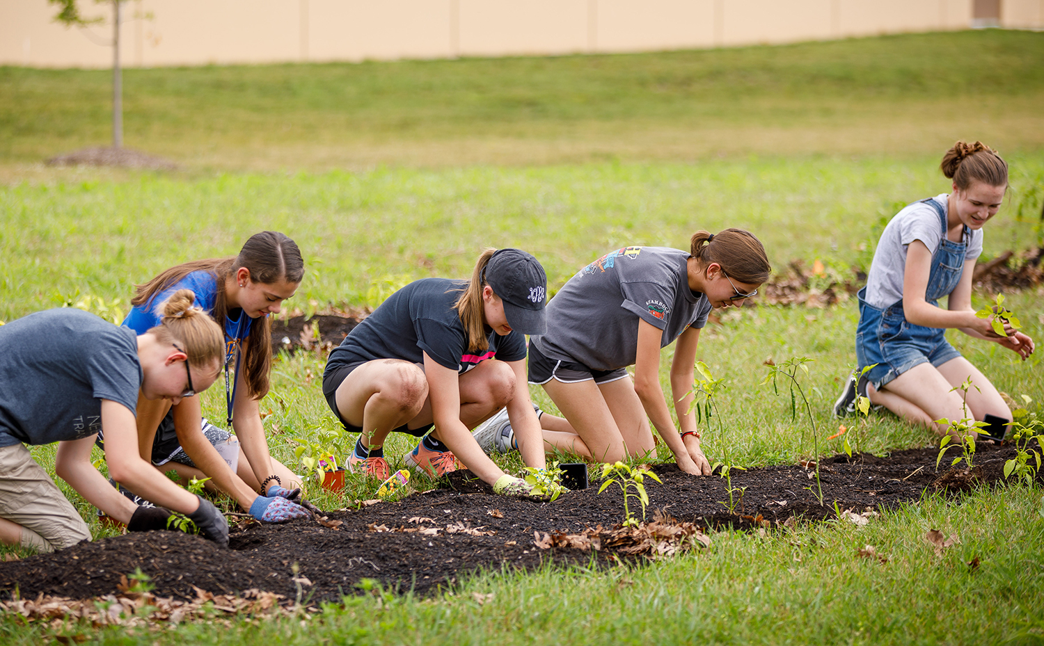 Planting