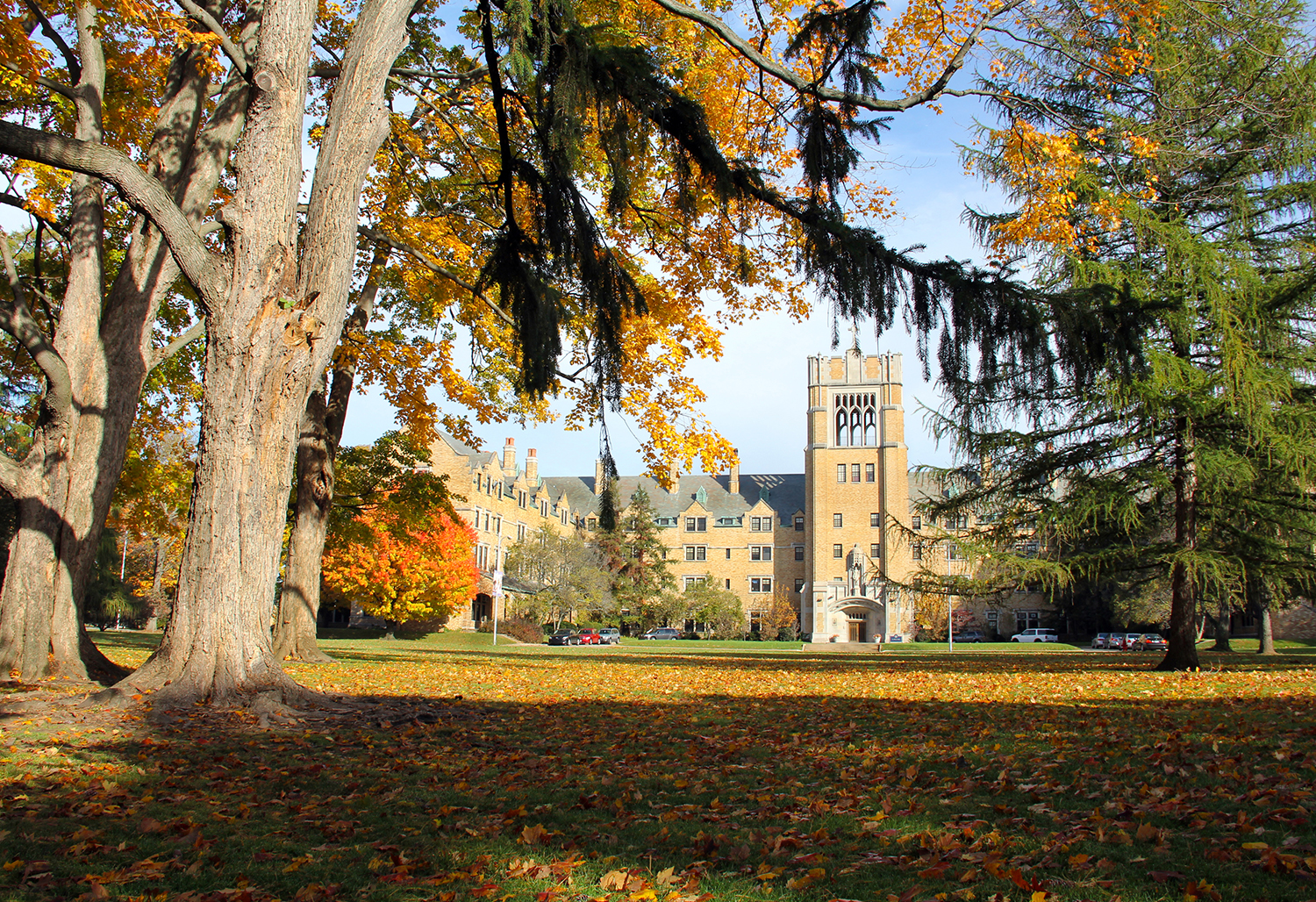 Fall on campus, Le Mans Hall