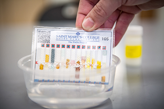 pharmaceuticals research papers pharmaceuticals research papers