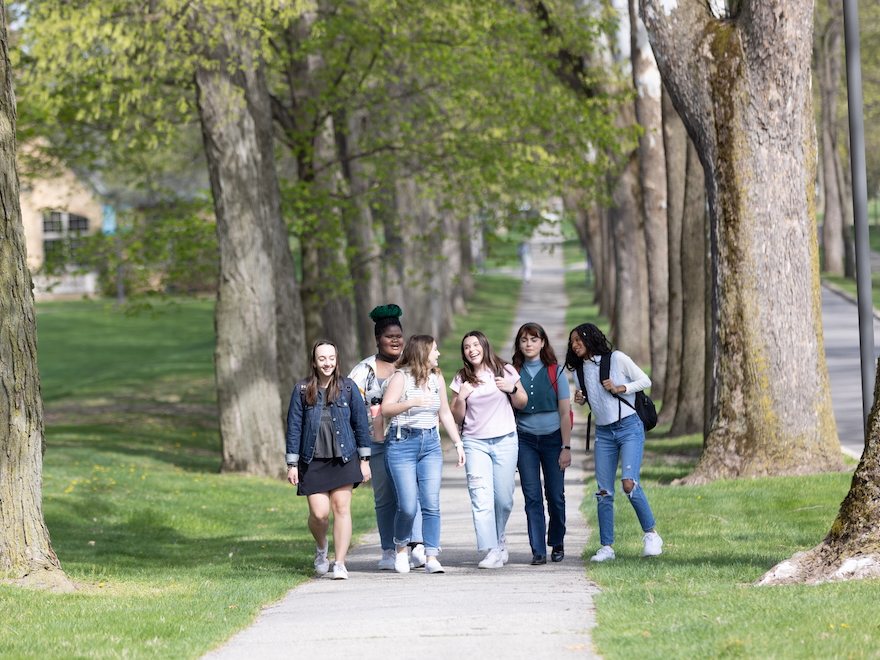 The Avenue Experience