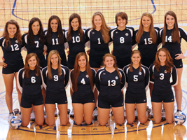 Volleyball team earn Team Academic Award from AVCA for 2013-14 academic year