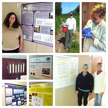 Colleen Quigley '15, top left, and Rachel Copley '15, bottom right pictured with professor Doris Watt, are among students to present their senior comprehensives. 