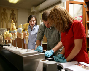 Ryan Dombkowski, associate professor of biology, works in the lab with students.