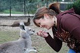 Chevonn Fant feeding a wallaby