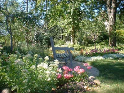 Bench and trees