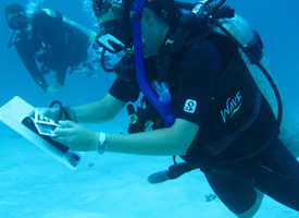 Saint Mary's students conduct research in the oceans off the coast of Nicaragua.