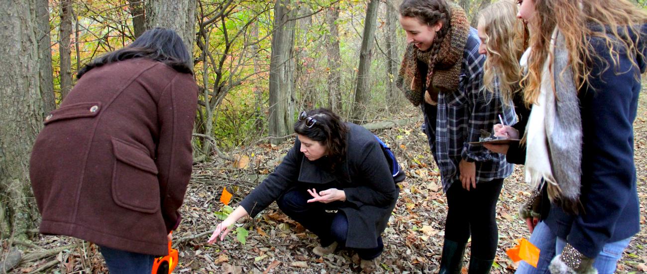 Students and professor examining plants