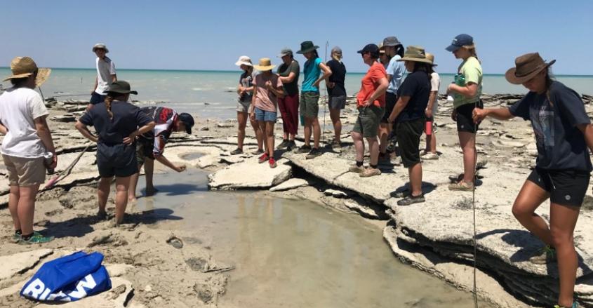 Students with Aboriginal family teaching them how to hunt for crabs. 