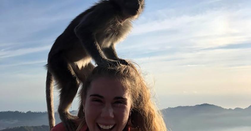 Student hiking an active volcano in Bali to watch the sunrise with monkey on head..